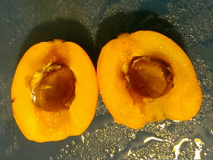 IMG_20140707_060359[1]